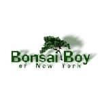 Bonsai Boy