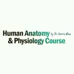 Human Anatomy & Physiology Course