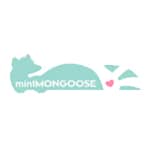 Mintmongoose